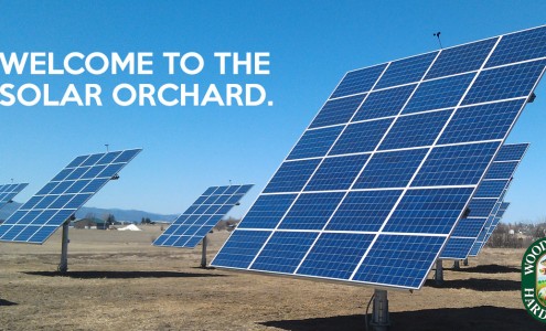 Solar Orchard Image