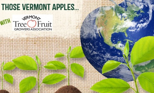 Vermont Apples Tree Fruit Growers Association