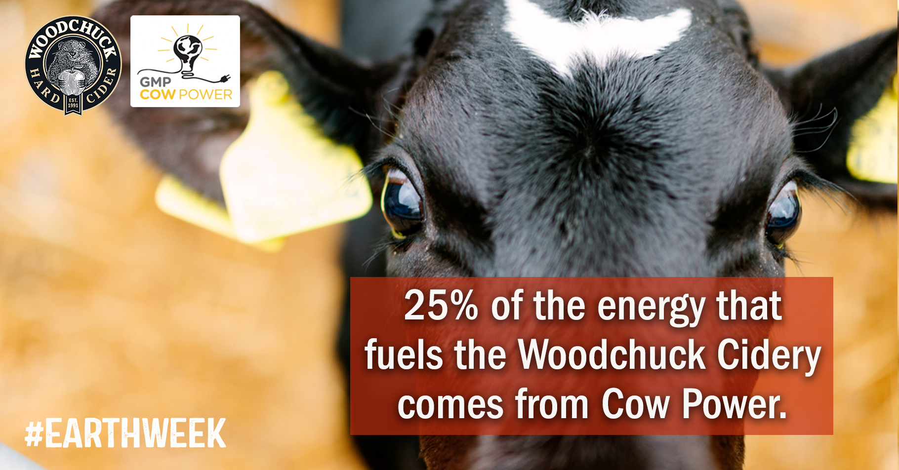 Cow Power to Cidery Power! Woodchuck Cider