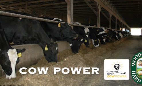 Cow Power